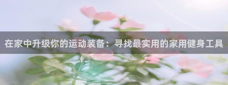 风速体育官网下载联系电话：在家中升级你的运动装备：寻