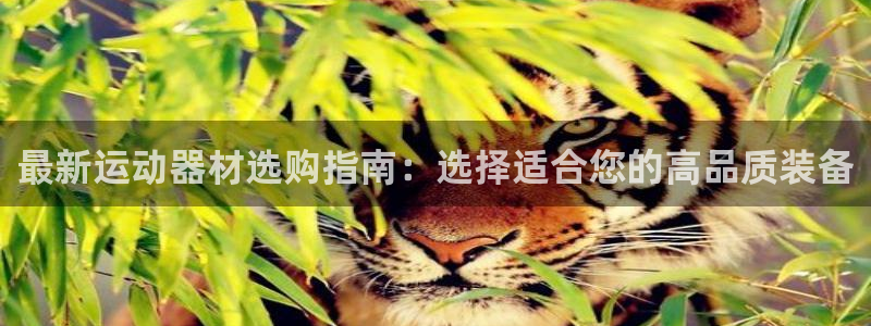 风速体育官网下载平台注册流程图：最新运动器材选购指南