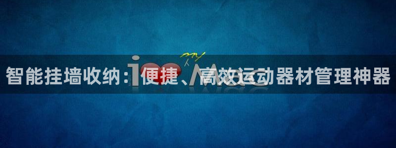 风速体育官方正版app娱乐首页官网下载：智能挂墙收纳：便捷、
