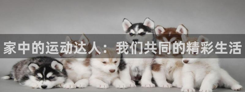 风速体育官方正版app集团官网网址：家中的运动达人：我们共同