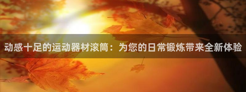 风速体育官网下载招商电话是多少号码：动感十足的运动器