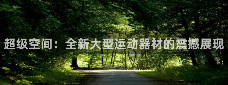 风速体育官网下载招商：超级空间：全新大型运动器材的震