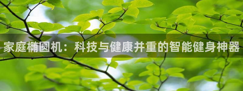 风速体育官网下载官方客服电话：家庭椭圆机：科技与健康并重的智