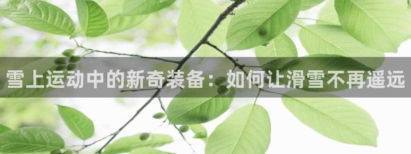 风速官方平台体育：雪上运动中的新奇装备：如何让滑雪不再遥远