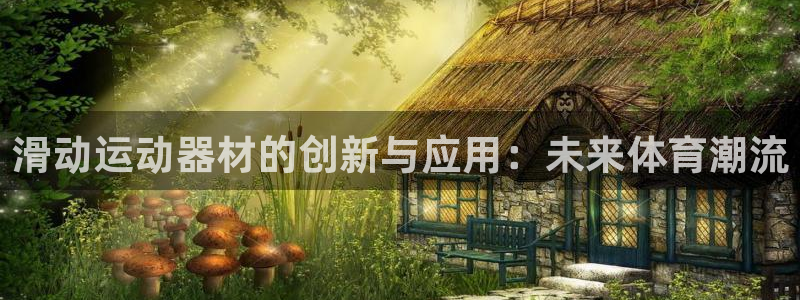 风速体育官方正版app集团E.ON：滑动运动器材的创新与应用