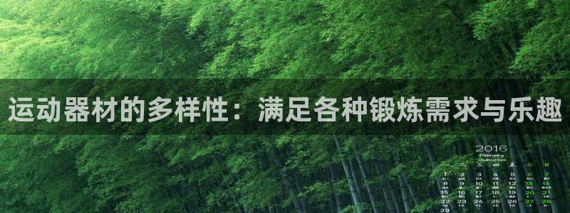 风速体育官方正版app娱乐网站：运动器材的多样性：满足各种锻