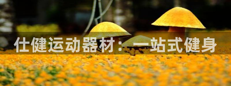 风速体育官网下载平台假的吗是真的吗吗：仕健运动器材：