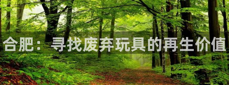 风速体育官网下载联系电话：合肥：寻找废弃玩具的再生价值